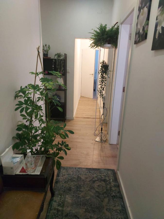 D&n Hostal