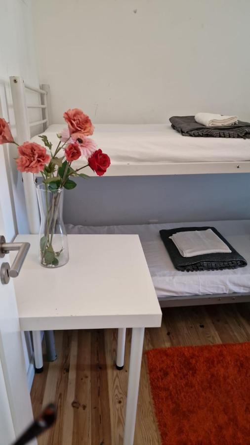 Hostel D&n *