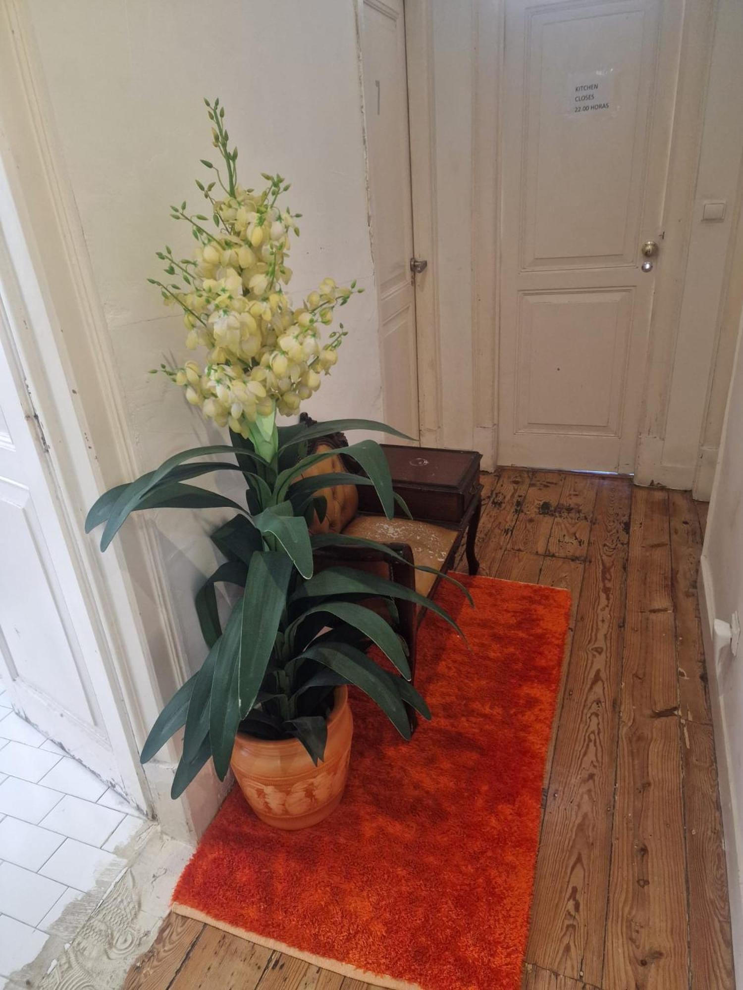 D&n Hostel Lisbon